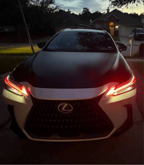 Lexus NX Tint Overlays 2022+