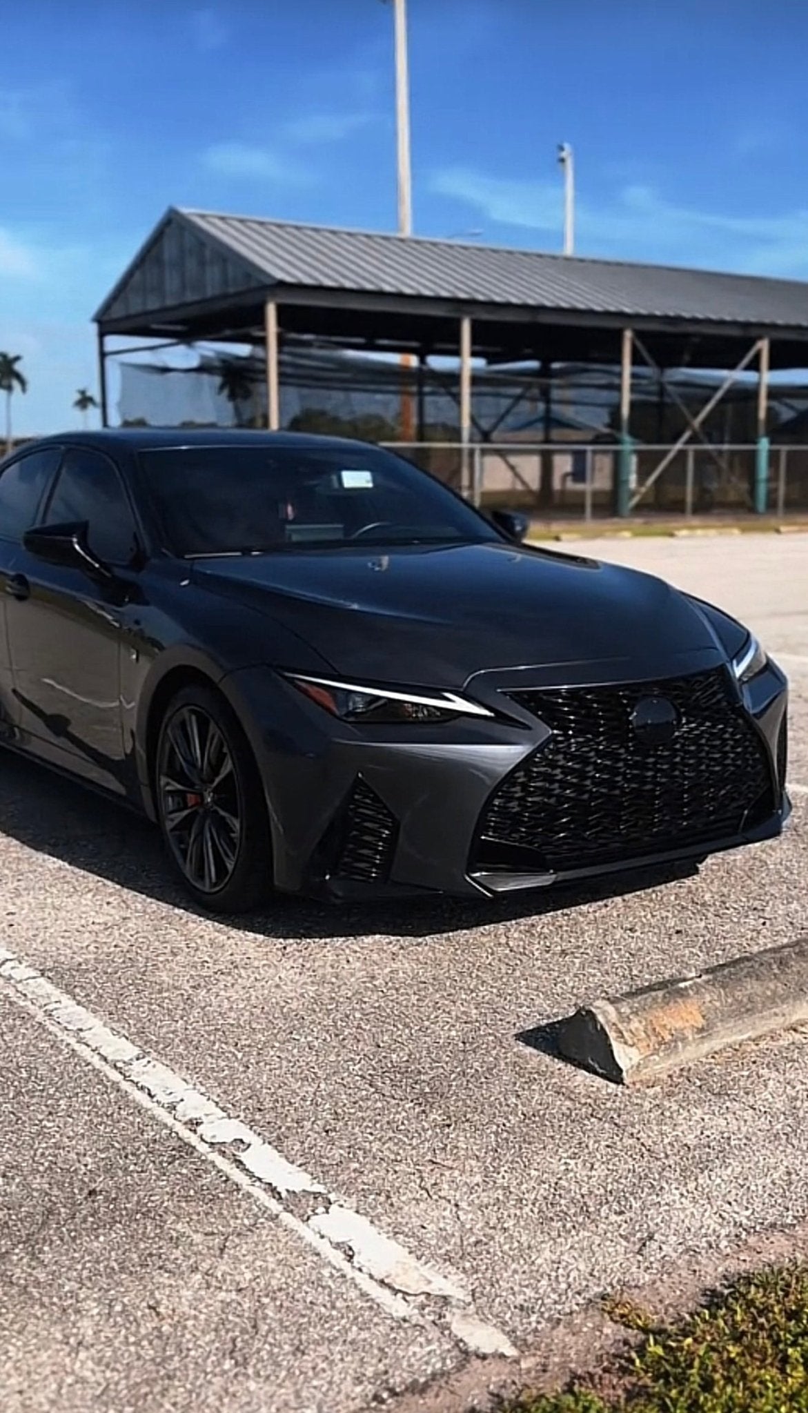Lexus Tint Overlay for Front and Rear Emblems