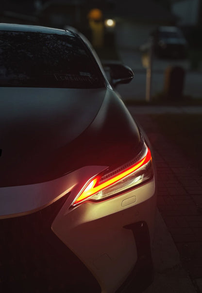 Lexus NX Tint Overlays 2022+