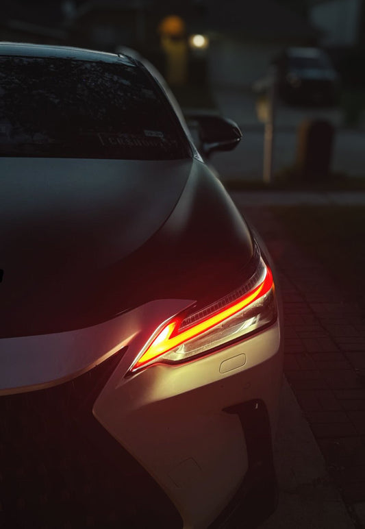 Lexus NX Tint Overlays 2022+
