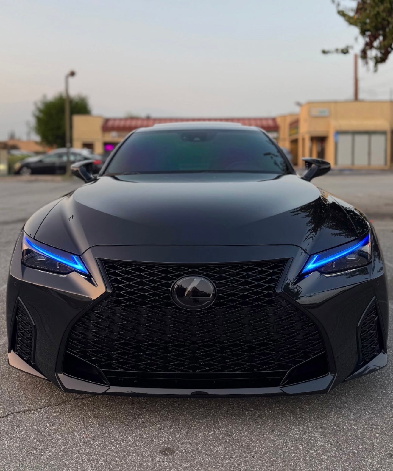 Lexus IS Pre-Cut DRL Tint Overlays – Vinyl Flare