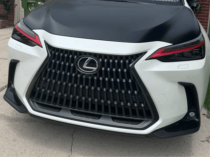 Lexus NX Tint Overlays 2022+