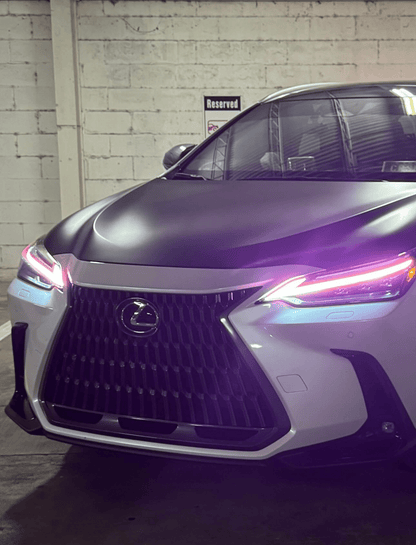 Lexus NX Tint Overlays 2022+
