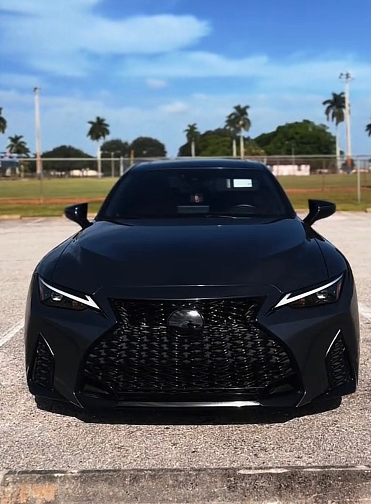 Lexus Tint Overlay for Front and Rear Emblems