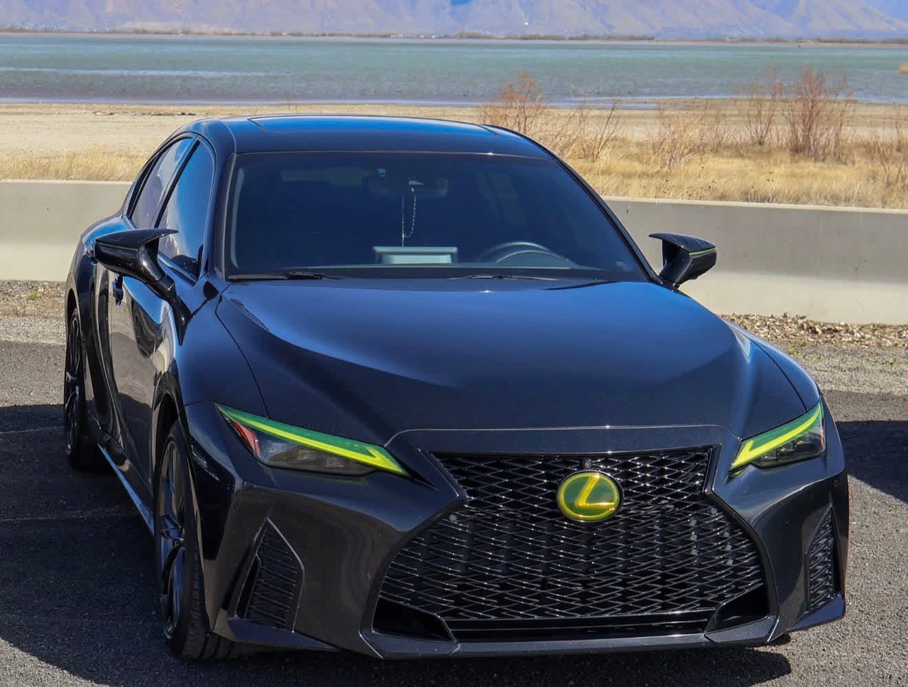 Lexus Tint Overlay for Front and Rear Emblems