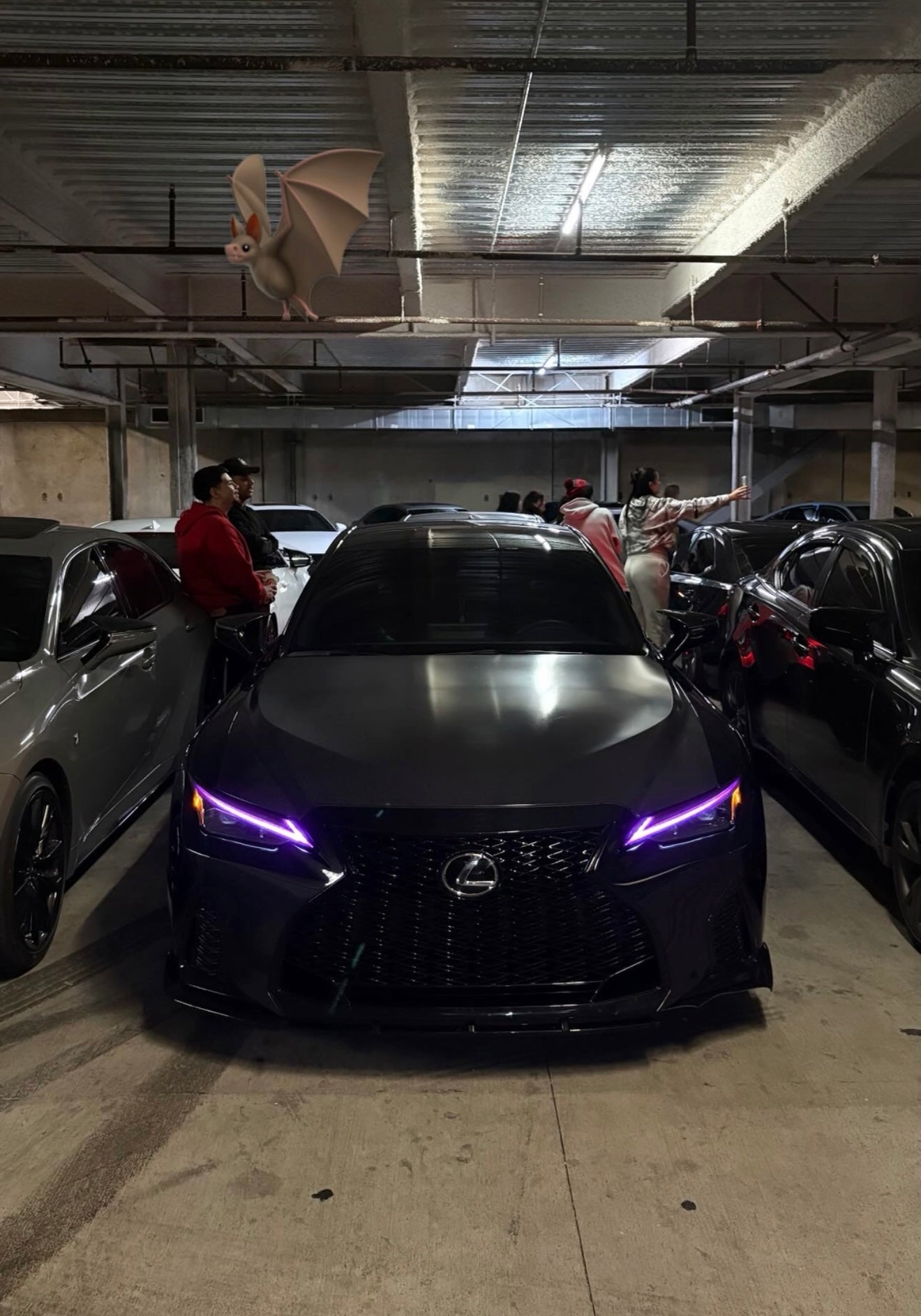 Lexus IS Pre-Cut DRL Tint Overlays