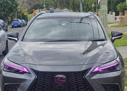 Lexus Tint Overlay for Front and Rear Emblems